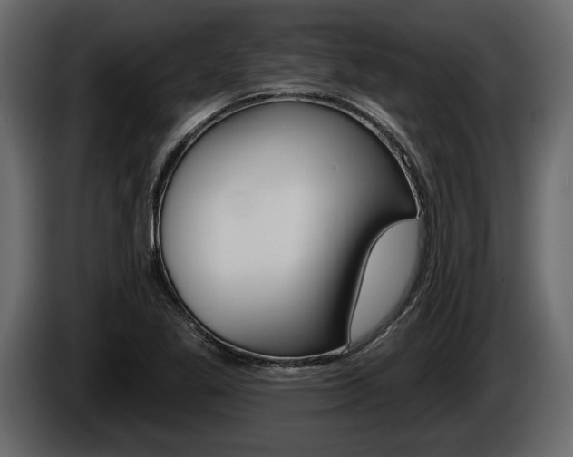 X0000086001269200703230841
