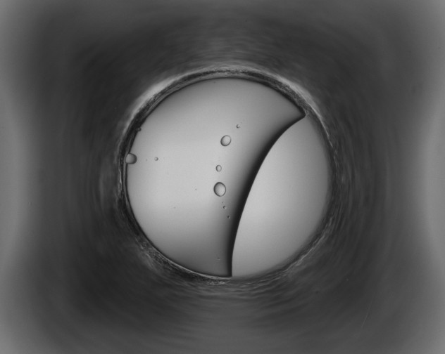 X0000086001271200703230841