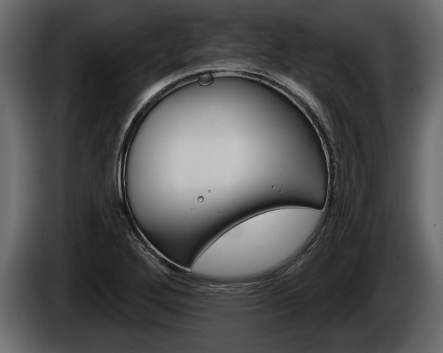 X0000086001272200703230841