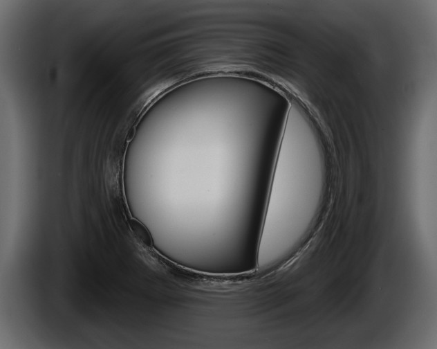 X0000086001273200703230841