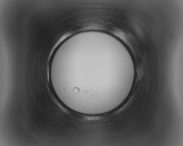 X0000086001274200703230841