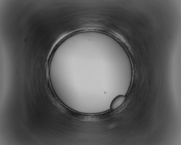 X0000086001275200703230841