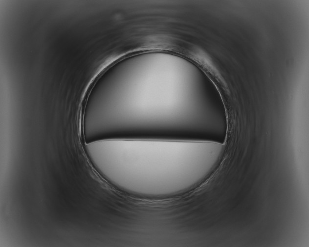 X0000086001276200703230841