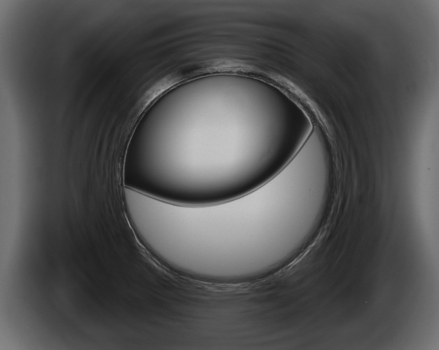 X0000086001281200703230841