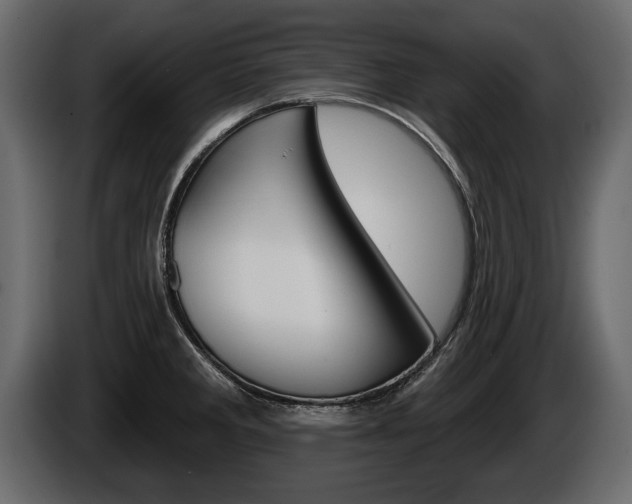 X0000086001285200703230841