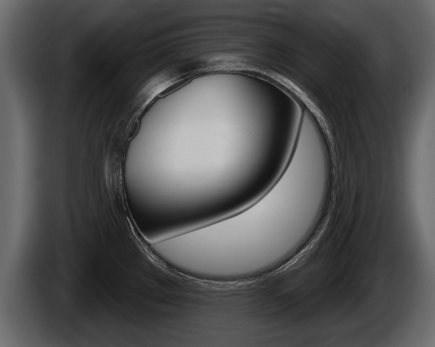 X0000086001289200703230841