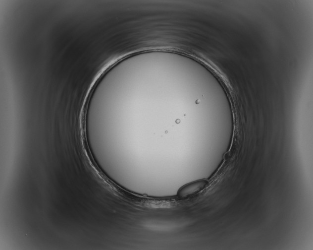 X0000086001291200703230841
