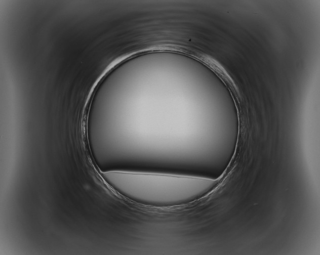 X0000086001292200703230841
