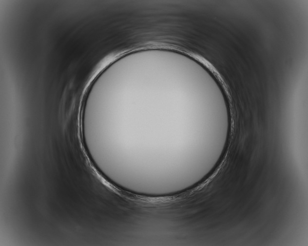 X0000086001294200703230841