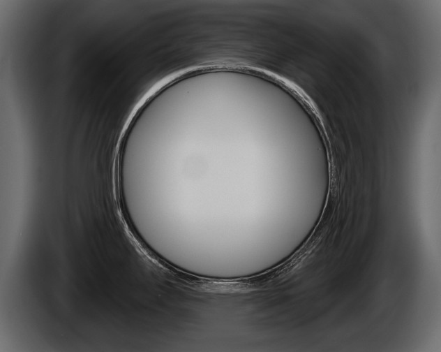 X0000086001295200703230841