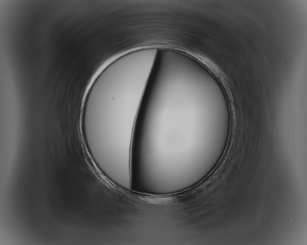 X0000086001296200703230841