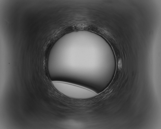 X0000086001299200703230840