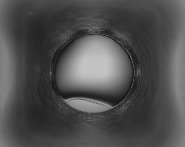 X0000086001300200703230840