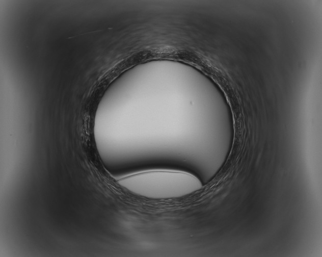 X0000086001301200703230840