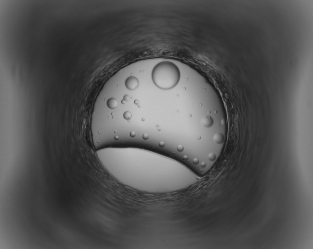 X0000086001302200703230840
