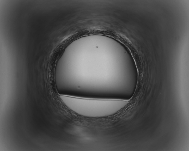 X0000086001303200703230840