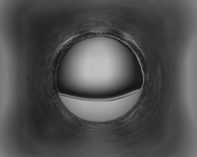 X0000086001304200703230840