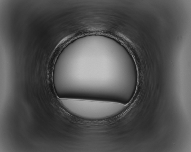X0000086001306200703230840