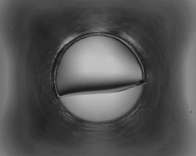 X0000086001308200703230840