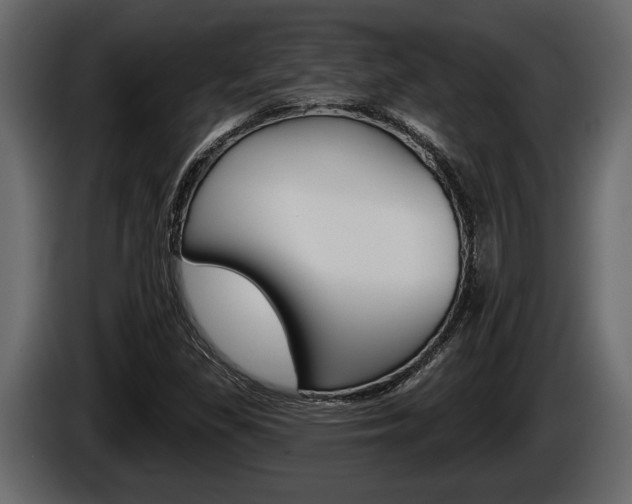 X0000086001309200703230840