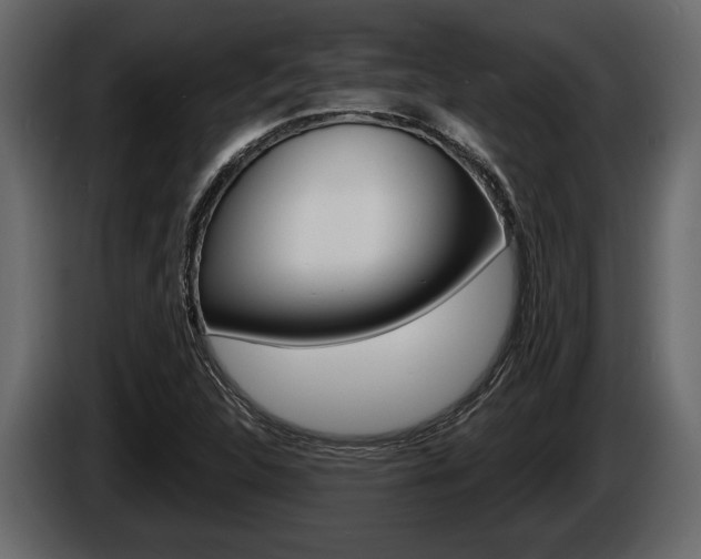X0000086001312200703230840