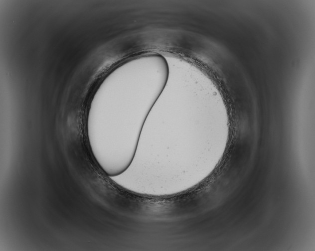 X0000086001314200703230840