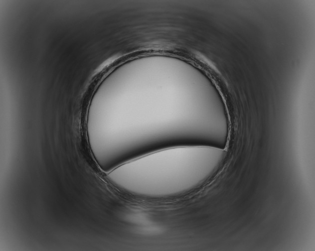 X0000086001315200703230840