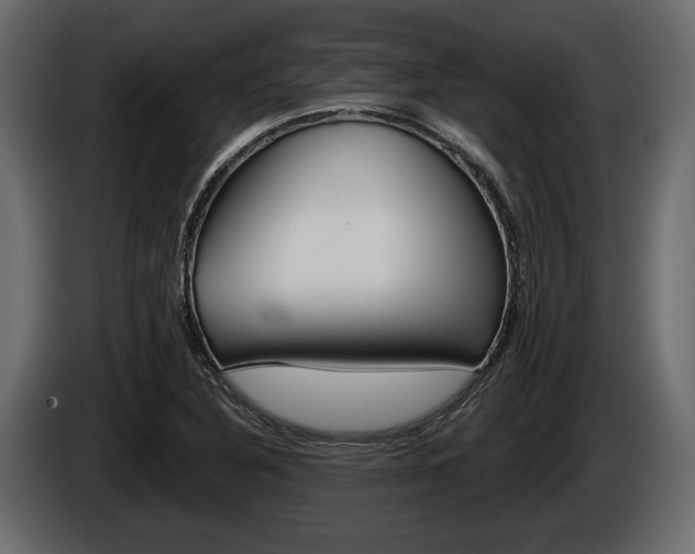 X0000086001316200703230840
