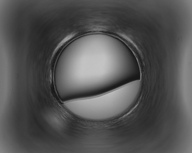 X0000086001317200703230840