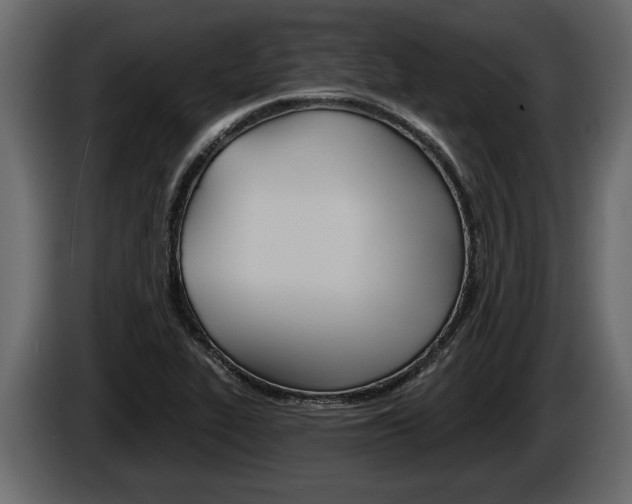 X0000086001319200703230840