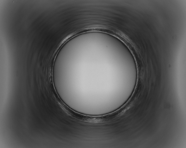 X0000086001321200703230840