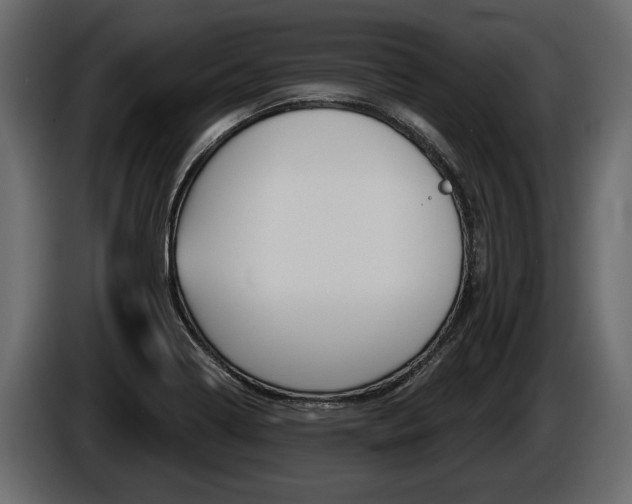X0000086001322200703230840