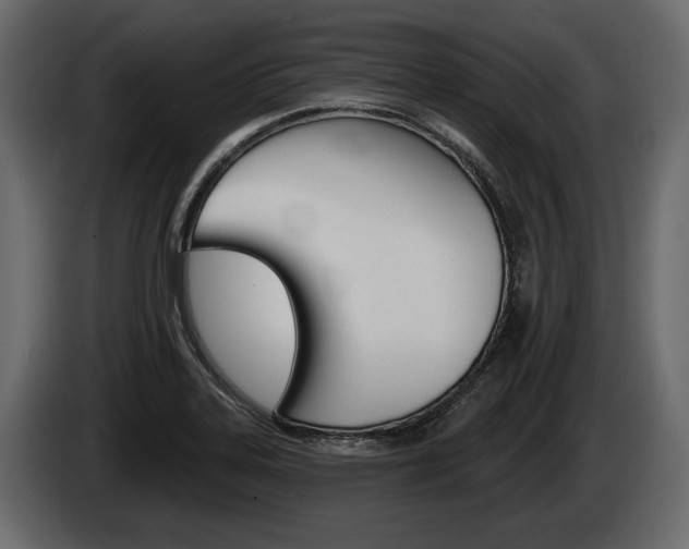 X0000086001323200703230840