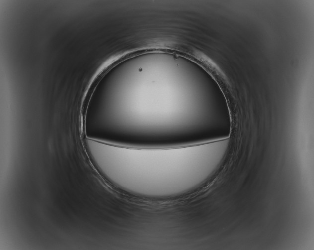 X0000086001324200703230840