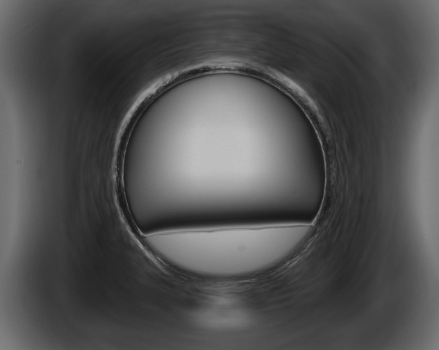 X0000086001327200703230841