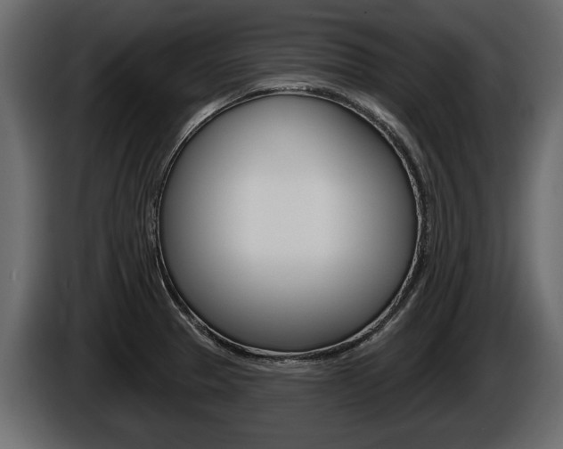 X0000086001329200703230841