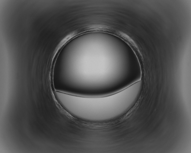 X0000086001330200703230841