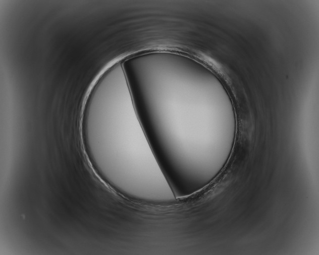 X0000086001331200703230841