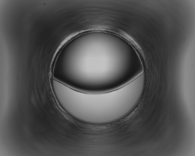 X0000086001332200703230841