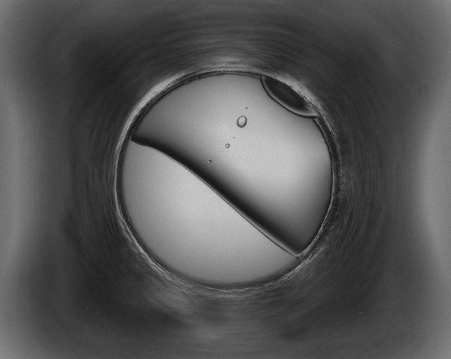 X0000086001333200703230841