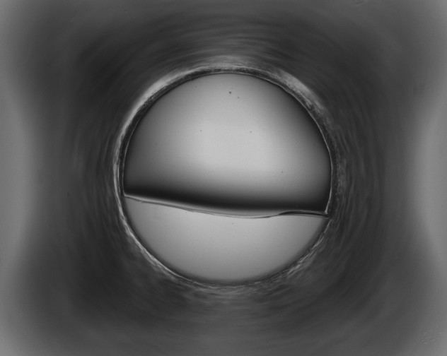 X0000086001334200703230841