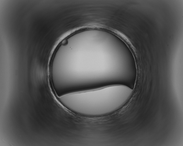 X0000086001335200703230841