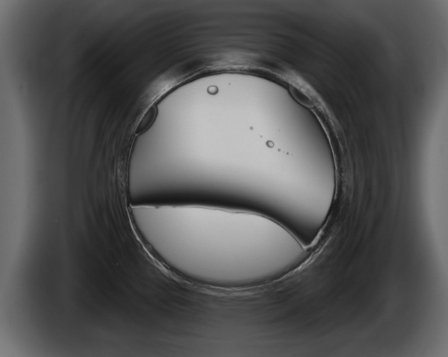 X0000086001337200703230841