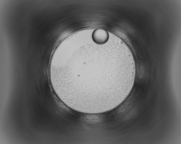 X0000086001338200703230841