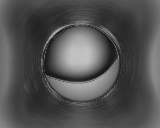 X0000086001340200703230841