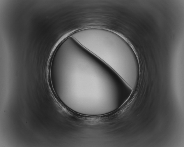 X0000086001341200703230841