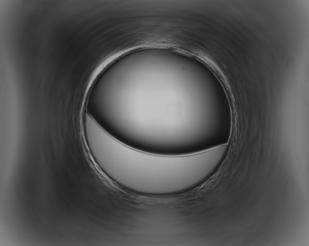 X0000086001344200703230841