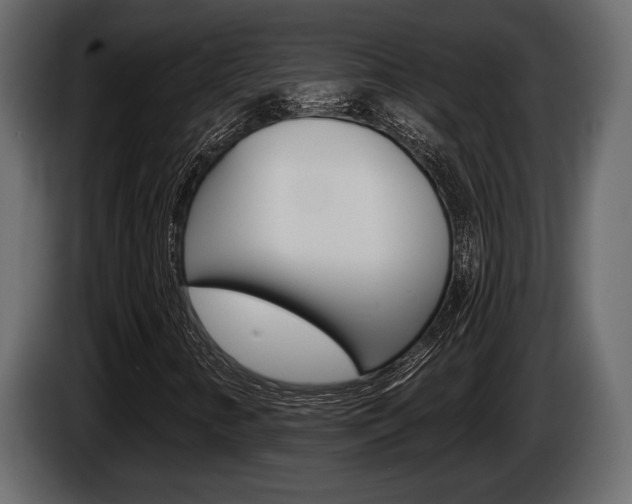 X0000086001346200703230840