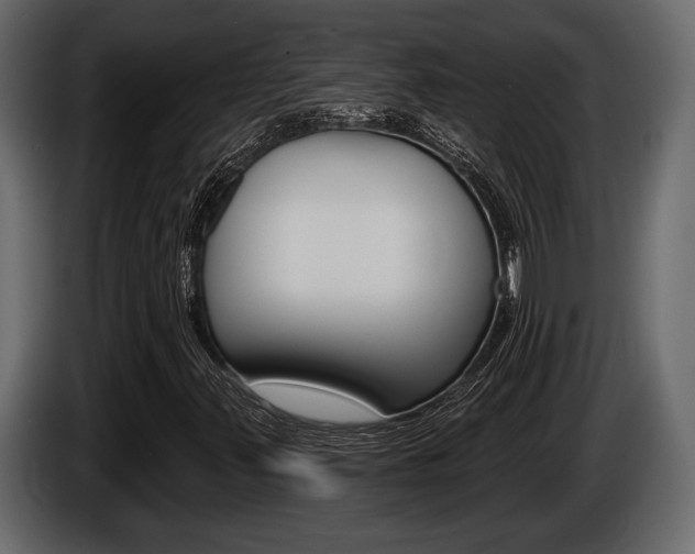 X0000086001347200703230840