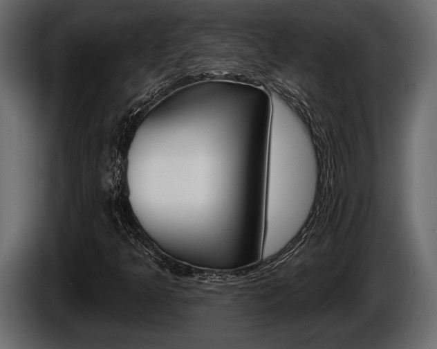 X0000086001349200703230840